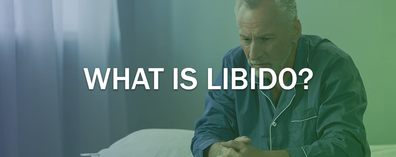 what is libido
